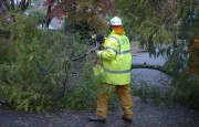Tree down, Aldgate
