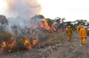 Hazard reduction burn, Mt Drummond