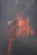 Burn off- Belair