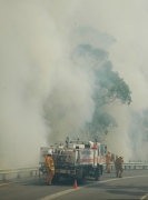 Burn off- Cleland