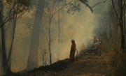 Burn off- Cleland