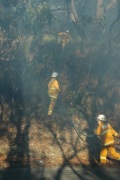Hazard Reduction burn, Cleland