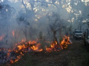 Burn off, Mt Scott