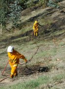 Grass fire, Carey Gully