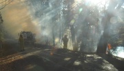 Scrub Fire, Lenswood
