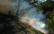 Scrub Fire, Lenswood