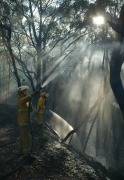 Scrub Fire, Lenswood