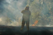 Scrub Fire, Lenswood