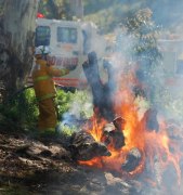 Tree fire, Birdwood