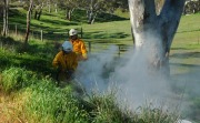 Grass fire, Nairne