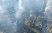 Scrub fire, Mylor