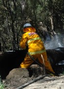 Scrub fire, Cudlee Creek