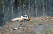 Fire, Basket Range