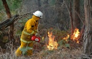 Burn off, Basket Range