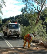 Tree down, Basket Range