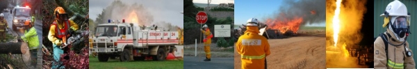 The CFS in Action!