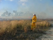 Burnoff, Naracoorte