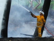 Scrub Fire, Carey Gully