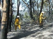 Scrub Fire, Norton Summit