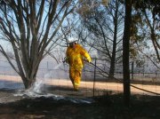 Grass fire at Mallala