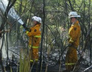 Scrub Fire, Para Wirra