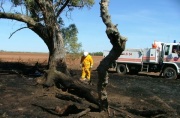 Grass Fire, Gawler River