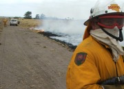 Eyre Peninsula Fire, Edillilie