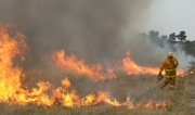 Eyre Peninsula Fire, Edillilie