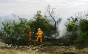 Scrub Fire, Warooka