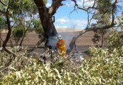 Crews near Koppio, Eyre Peninsula