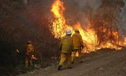 Crew light a burn off at Cleland