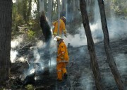 Crews mop up at Norton Summit