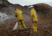 Mulch fire, Littlehampton