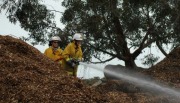 Mulch fire, Littlehampton