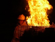 Royal Adelaide Show demo