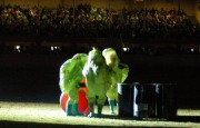 Royal Adelaide Show demo