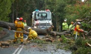 Tree down, Ashton