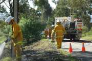 Scrub and pole fire, Teringie