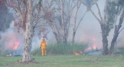 Burn off, Naracoorte