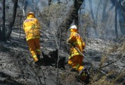 Fire, Scott Creek