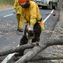 DSC_6167