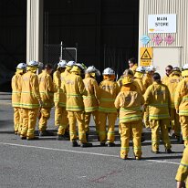 DSC_5375