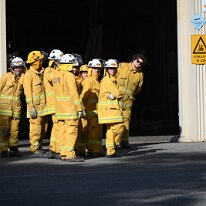 DSC_5397
