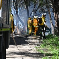 Ashes Hosking-DSC_0554