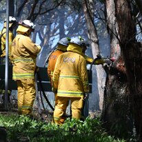 Ashes Hosking-DSC_0556