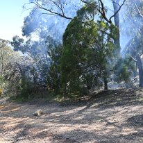 Ashes Hosking-DSC_0559