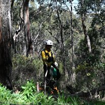 Pip McGowan-DSC_7329