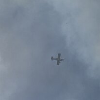 PipMcGowan-DSC_2226