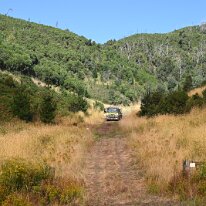 PipMcGowan-DSC_2232