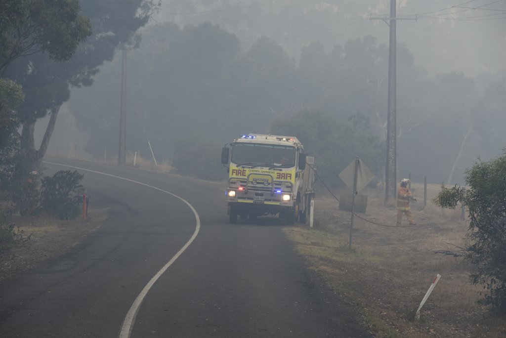 Ashley Hosking-_DSC0067